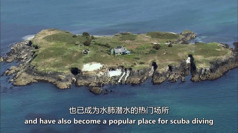 史密森尼频道《鸟瞰爱尔兰 Ireland From Above 2021》全5集 英语中英双字 无水印纯净版 1080P/MKV/9.57G 航拍爱尔兰插图1