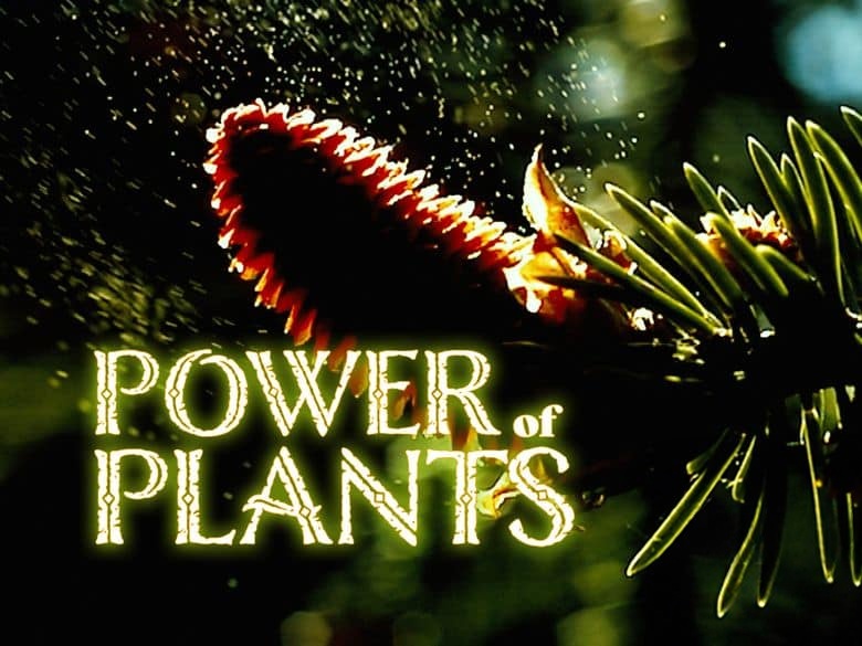 德国纪录片《植物的力量 Power of Plants 2022》全2集 英语中英双字 无水印纯净版 1080P/MKV/7G 植物的力量插图