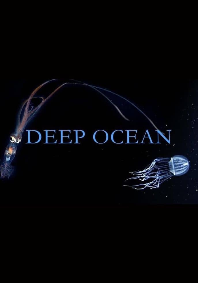 NHK纪录片《海洋深处 Deep Ocean 2015-2018》全3集 英语中英双字 无水印纯净版 1080P/MKV/2.93G 深海探索插图 NHK纪录片《海洋深处 Deep Ocean 2015-2018》全3集 英语中英双字 无水印纯净版 1080P/MKV/2.93G 深海探索插图