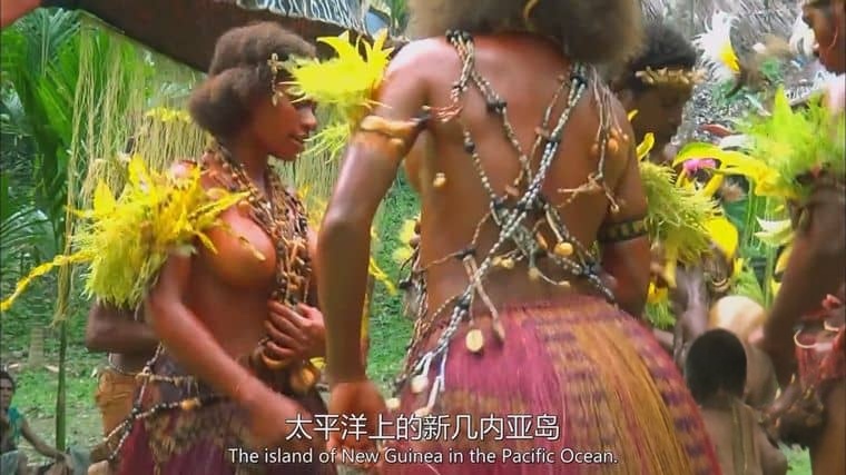 国家地理《失落的太平洋大陆 Lost Continent of the Pacific 2011》英语中英双字 1080P/MP4/1.04G 新几内亚岛插图1 国家地理《失落的太平洋大陆 Lost Continent of the Pacific 2011》英语中英双字 1080P/MP4/1.04G 新几内亚岛插图1