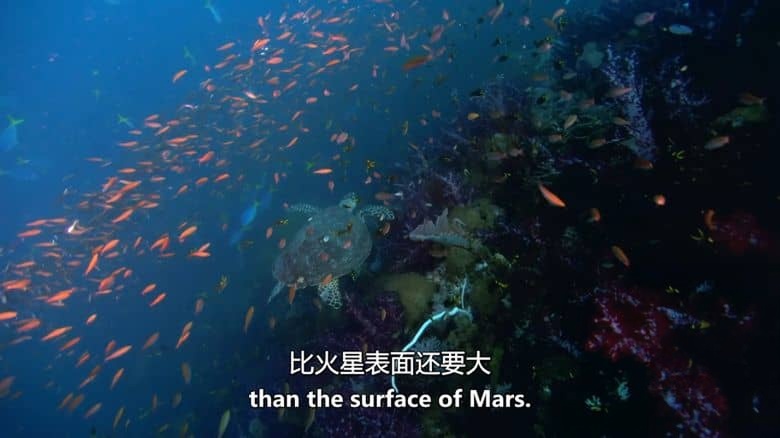 澳大利亚纪录片《荒蛮之地：太平洋 Wildest Places: Pacific 2019》第二季全4集 英语中英双字 无水印纯净版 1080P/MKV/14.3G 狂野太平洋插图1