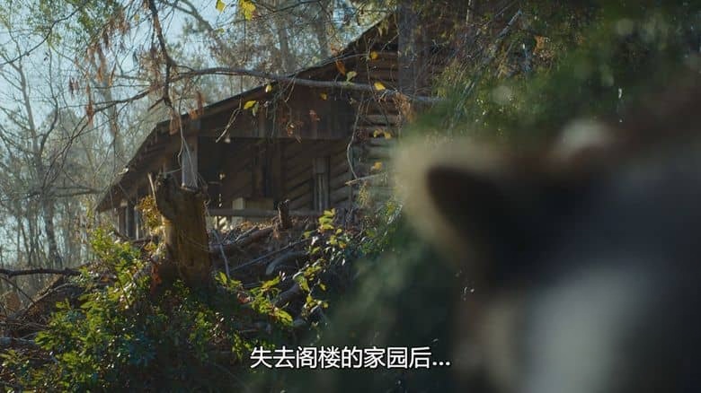 Netflix纪录片《大自然恐怖故事 Nightmares of Nature 2025》全3集 英语多国字幕 无水印纯净版 1080P/MKV/5.53G 动物生存故事插图5 Netflix纪录片《大自然恐怖故事 Nightmares of Nature 2025》全3集 英语多国字幕 无水印纯净版 1080P/MKV/5.53G 动物生存故事插图5