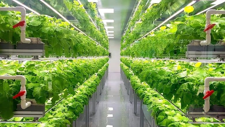新加坡纪录片《星际农场:新边疆 Space Farmers:Foods New Frontiers 2023》英语中英双字 无水印纯净版 1080P/MKV/1.83G 星际农场插图 新加坡纪录片《星际农场:新边疆 Space Farmers:Foods New Frontiers 2023》英语中英双字 无水印纯净版 1080P/MKV/1.83G 星际农场插图