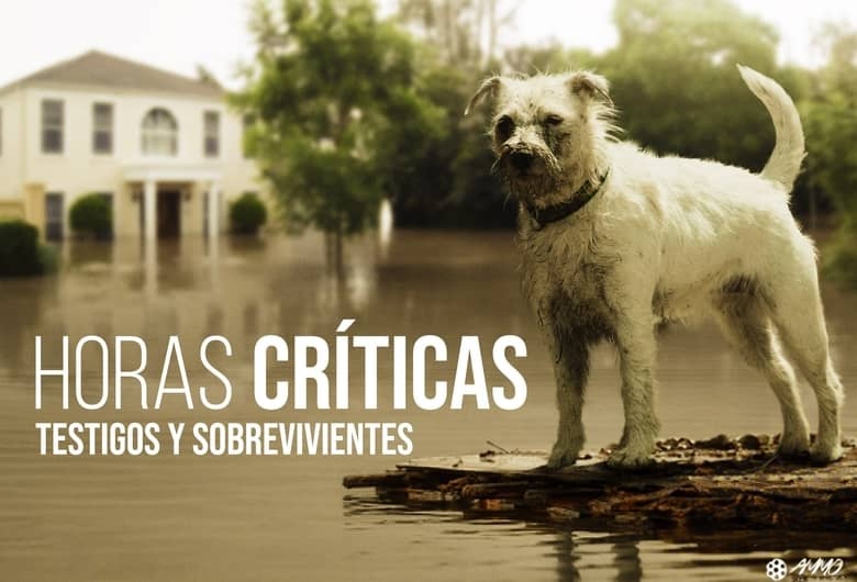 美国纪录片《危急时刻 Horas Críticas 2019》第一季全13集 西语中英双字 无水印纯净版 1080P/MKV/29.4G 地质灾害插图 美国纪录片《危急时刻 Horas Críticas 2019》第一季全13集 西语中英双字 无水印纯净版 1080P/MKV/29.4G 地质灾害插图