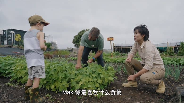 国产纪录片《他乡的童年 Childhood Elsewhere 2024》第二季全5集 国语中字 4K超清/2160P/MP4/10.7G 教育与成长插图2