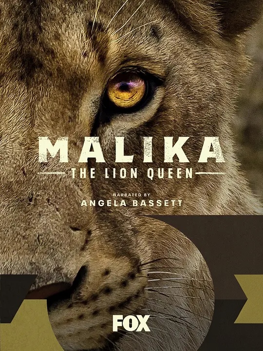 新西兰纪录片《狮子女王 The Lion Queen 2021》第1-2季全12集 英语中英双字 无水印纯净版 1080P/MKV/27.2G 狮群守护者插图