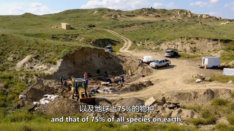 ZDF纪录片《命运星球 Fateful Planet 2024》第一季全5集 英语中英双字 无水印纯净版 1080P/MKV/13.6G 地球历史插图4