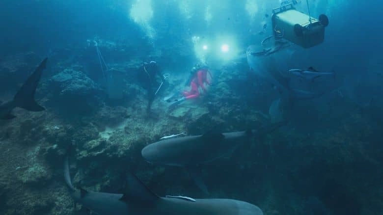 迪士尼纪录片《与鲨鱼游弋 Playing with Sharks: The Valerie Taylor Story 2021》国粤英三语多国字幕 无水印纯净版 1080P/MKV/5.57G 与鲨共舞插图4