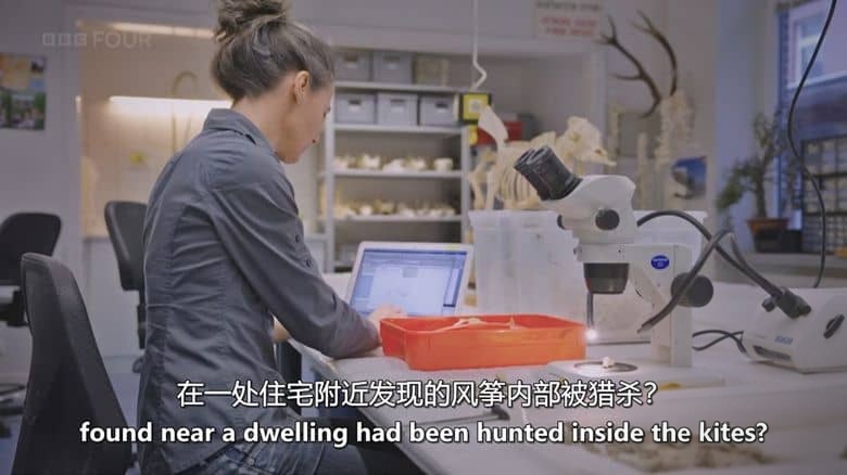 BBC纪录片《沙漠风筝之谜 The Mystery of the Desert Kites 2025》英语中英双字 无水印纯净版 1080P/MKV/1.12G 神秘史前巨型结构插图5 BBC纪录片《沙漠风筝之谜 The Mystery of the Desert Kites 2025》英语中英双字 无水印纯净版 1080P/MKV/1.12G 神秘史前巨型结构插图5