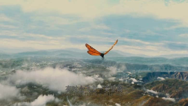 英国纪录片《帝王蝶的迁徙 Flight of the Butterflies 2012》英语中英双字 无水印纯净收藏版 4K蓝光原盘/2160P/MKV/18.3G 生物大迁徙插图5