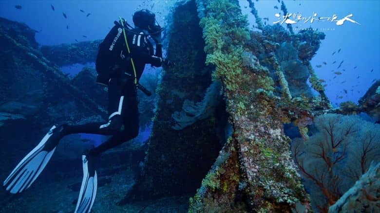 台湾纪录片《沉睡的水下巨人 Shipwrecks Taiwan 2024》全8集 国语中字 无水印纯净版 1080P/MKV/9.72G 海洋沉船生态插图4 台湾纪录片《沉睡的水下巨人 Shipwrecks Taiwan 2024》全8集 国语中字 无水印纯净版 1080P/MKV/9.72G 海洋沉船生态插图4