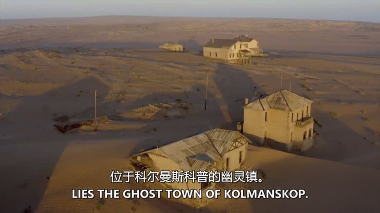探索频道《废弃建筑之谜：动物崛起 Mysteries of the Abandoned: Animal Uprising 2020》英语中英双字 无水印纯净版 1080P/MKV/1.85G 废弃建筑插图4