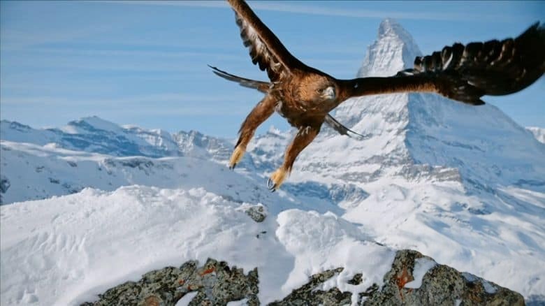 PBS纪录片《阿尔卑斯山 The Alps 2020》全2集 英语中英双字 无水印纯净版 1080P/MKV/7.33G 阿尔卑斯山插图1