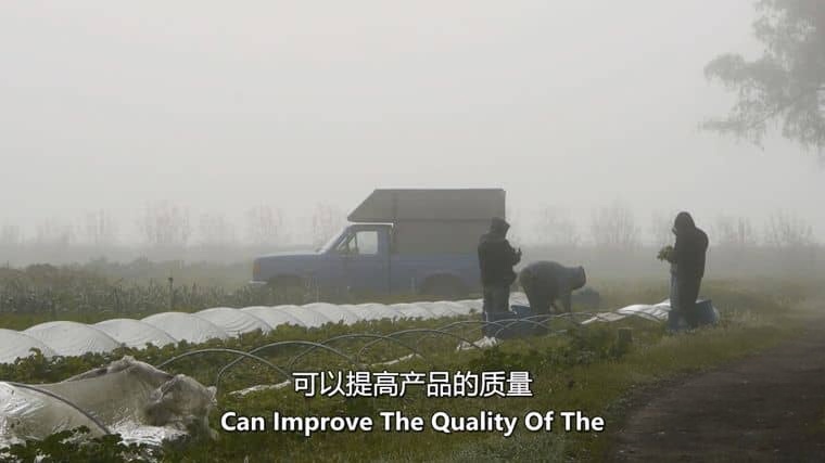 美国纪录片《有机人生 The Organic Life 2013》英语中英双字 无水印纯净版 1080P/MKV/1.14G 可持续农业插图3