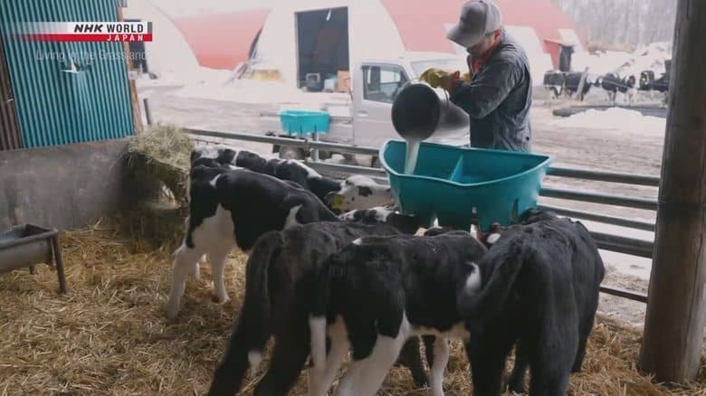 NHK纪录片《草原生活 Living in the Grasslands 2025》英语无字 1080P/MKV/948M 草原生活插图6 NHK纪录片《草原生活 Living in the Grasslands 2025》英语无字 1080P/MKV/948M 草原生活插图6