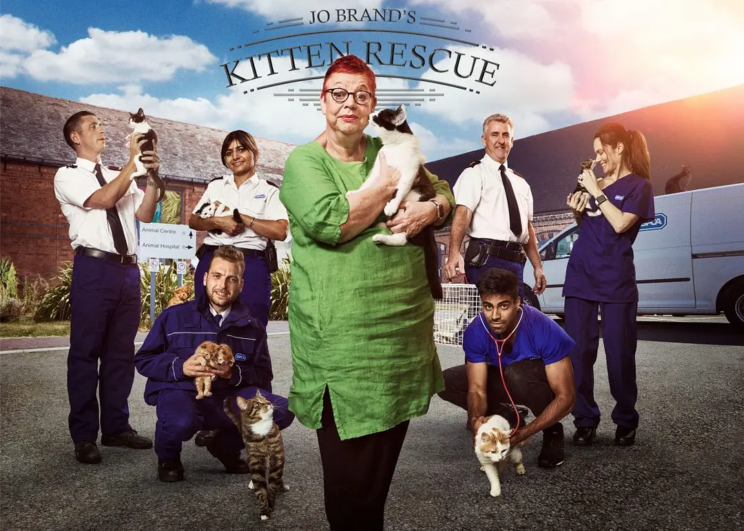 美国纪录片《猫咪救援队 Kitten Rescuers 2020》第1-2季全14集 英语中英双字 无水印纯净版 1080P/MKV/29.7G 小猫救援队插图