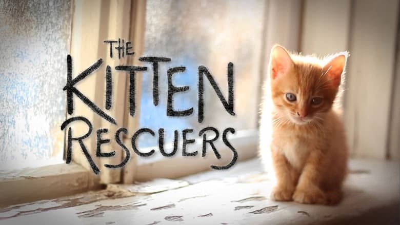 美国纪录片《猫咪救援队 Kitten Rescuers 2020》第1-2季全14集 英语中英双字 无水印纯净版 1080P/MKV/29.7G 小猫救援队插图1