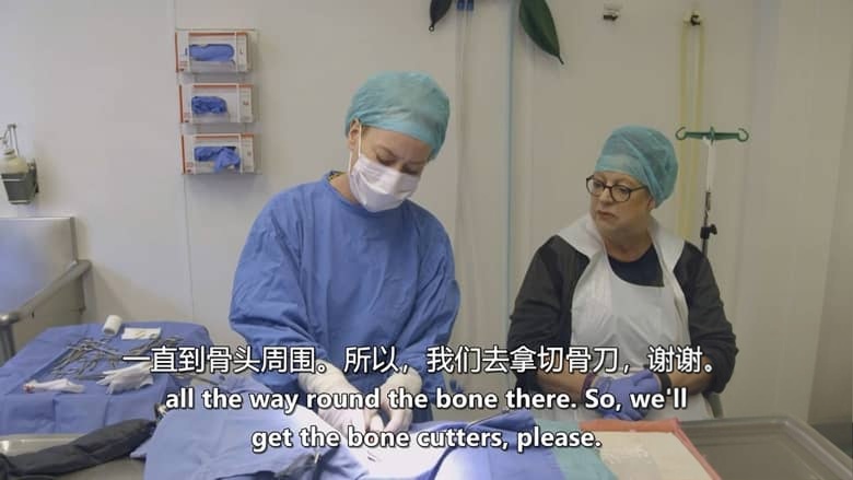 美国纪录片《猫咪救援队 Kitten Rescuers 2020》第1-2季全14集 英语中英双字 无水印纯净版 1080P/MKV/29.7G 小猫救援队插图3