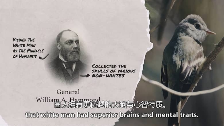 加拿大纪录片《鸟类命名 Bird Names 2026》英语中英双字 无水印纯净版 1080P/MKV/972M 鸟名风云插图4