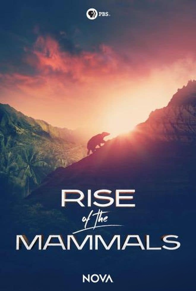 PBS纪录片《哺乳动物的崛起 Rise of the Mammals 2019》英语中英双字 无水印纯净版 1080P/MKV/2.53G 哺乳动物插图 PBS纪录片《哺乳动物的崛起 Rise of the Mammals 2019》英语中英双字 无水印纯净版 1080P/MKV/2.53G 哺乳动物插图