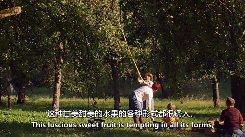 美国纪录片《生命的旋转木马 Carousel of Life》英语中英双字 无水印纯净版 1080P/MKV/5.04G 果园生态系统插图6 美国纪录片《生命的旋转木马 Carousel of Life》英语中英双字 无水印纯净版 1080P/MKV/5.04G 果园生态系统插图6