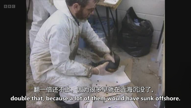 BBC纪录片《黑色海域：海上皇后号漏油灾难 Black Waters: The Sea Empress Disaster 2026》英语中英双字 无水印纯净版 1080P/MKV/1.03G 海皇后号沉船事故插图6