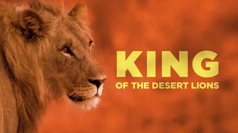 美国纪录片《沙漠狮王 King of the Desert Lions 2018》英语中英双字 无水印纯净版 1080P/MKV/2.71G 沙漠狮王插图