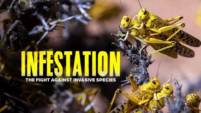 美国纪录片《侵扰:与入侵物种作斗争 Infestation:The Fight Against Invasive Species 2013》全4集 英语中英双字 无水印纯净版 1080P/MKV/12.7G 入侵物种插图 美国纪录片《侵扰:与入侵物种作斗争 Infestation:The Fight Against Invasive Species 2013》全4集 英语中英双字 无水印纯净版 1080P/MKV/12.7G 入侵物种插图