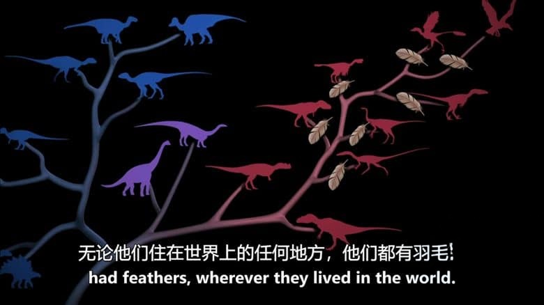 PBS纪录片《四翼恐龙 The Four-Winged Dinosaur 2008》英语中英双字 无水印纯净版 1080P/MKV/3.69G 恐龙纪录片插图3 PBS纪录片《四翼恐龙 The Four-Winged Dinosaur 2008》英语中英双字 无水印纯净版 1080P/MKV/3.69G 恐龙纪录片插图3