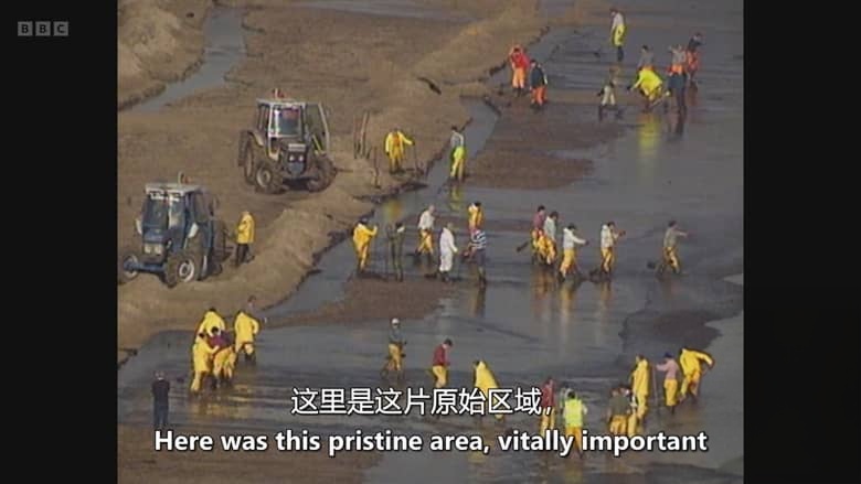 BBC纪录片《黑色海域：海上皇后号漏油灾难 Black Waters: The Sea Empress Disaster 2026》英语中英双字 无水印纯净版 1080P/MKV/1.03G 海皇后号沉船事故插图1