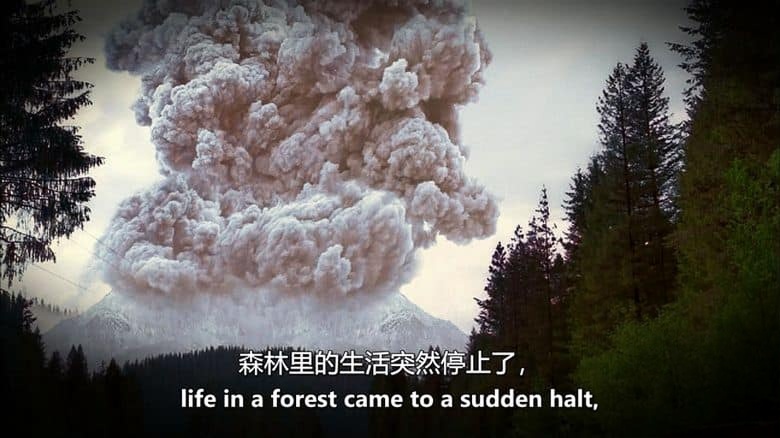 PBS纪录片《四翼恐龙 The Four-Winged Dinosaur 2008》英语中英双字 无水印纯净版 1080P/MKV/3.69G 恐龙纪录片插图1 PBS纪录片《四翼恐龙 The Four-Winged Dinosaur 2008》英语中英双字 无水印纯净版 1080P/MKV/3.69G 恐龙纪录片插图1
