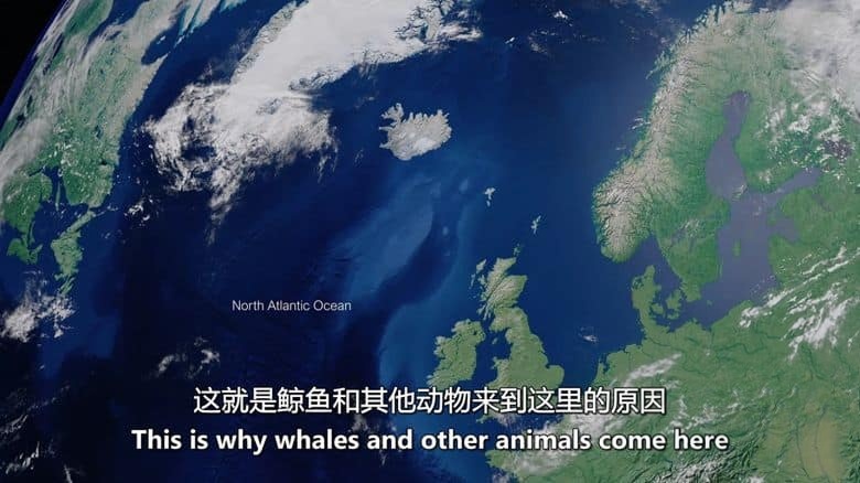 爱尔兰纪录片《北大西洋:黑暗的海洋 North Atlantic: The Dark Ocean 2023》全3集 英语中英双字 无水印纯净版 1080P/MKV/11.3G 北大西洋插图1 爱尔兰纪录片《北大西洋:黑暗的海洋 North Atlantic: The Dark Ocean 2023》全3集 英语中英双字 无水印纯净版 1080P/MKV/11.3G 北大西洋插图1