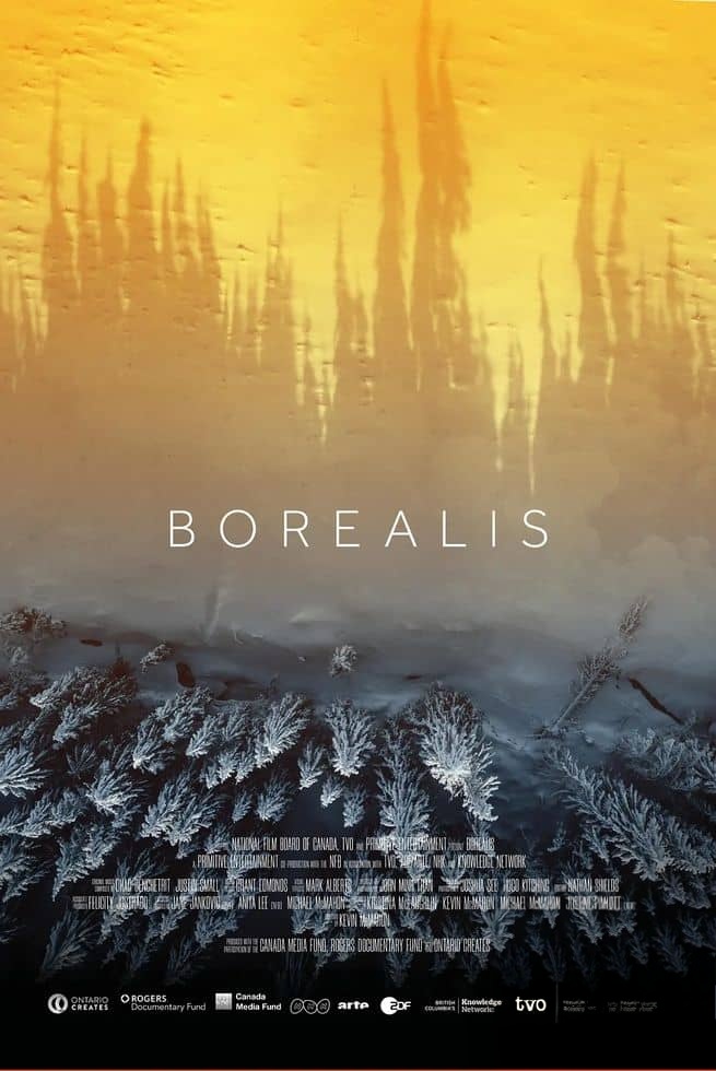 加拿大纪录片《北方 Borealis 2020》英语中英双字 无水印纯净版 1080P/MKV/6.44G 加拿大北方森林插图 加拿大纪录片《北方 Borealis 2020》英语中英双字 无水印纯净版 1080P/MKV/6.44G 加拿大北方森林插图