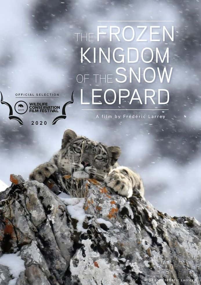 史密森尼频道《雪豹的冰冻王国 Survival of the Snow Leopard 2020》英语中英双字 无水印纯净版 1080P/MKV/4.57G 西藏雪豹插图 史密森尼频道《雪豹的冰冻王国 Survival of the Snow Leopard 2020》英语中英双字 无水印纯净版 1080P/MKV/4.57G 西藏雪豹插图