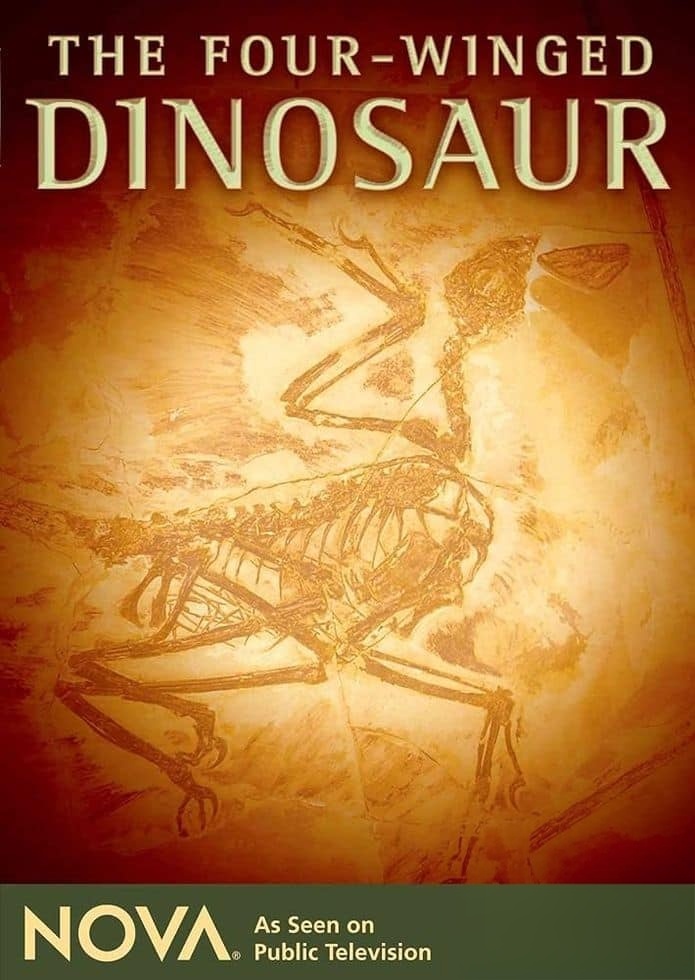 PBS纪录片《四翼恐龙 The Four-Winged Dinosaur 2008》英语中英双字 无水印纯净版 1080P/MKV/3.69G 恐龙纪录片插图 PBS纪录片《四翼恐龙 The Four-Winged Dinosaur 2008》英语中英双字 无水印纯净版 1080P/MKV/3.69G 恐龙纪录片插图