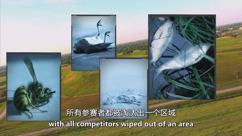 美国纪录片《红火蚁:无敌军队 Fire Ants: The Invincible Army 2012》英语中英双字 无水印纯净版 1080P/MKV/3.49G 红火蚁入侵插图6 美国纪录片《红火蚁:无敌军队 Fire Ants: The Invincible Army 2012》英语中英双字 无水印纯净版 1080P/MKV/3.49G 红火蚁入侵插图6