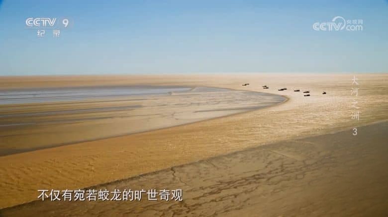 央视纪录片《大河之洲 Life at the Yellow River Delta 2024》全3集 国语中字 720P/MP4/2.09G 黄河生态保护插图4 央视纪录片《大河之洲 Life at the Yellow River Delta 2024》全3集 国语中字 720P/MP4/2.09G 黄河生态保护插图4