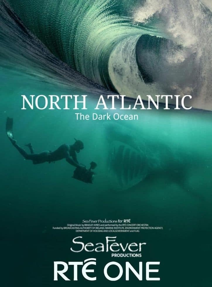 爱尔兰纪录片《北大西洋:黑暗的海洋 North Atlantic: The Dark Ocean 2023》全3集 英语中英双字 无水印纯净版 1080P/MKV/11.3G 北大西洋插图 爱尔兰纪录片《北大西洋:黑暗的海洋 North Atlantic: The Dark Ocean 2023》全3集 英语中英双字 无水印纯净版 1080P/MKV/11.3G 北大西洋插图