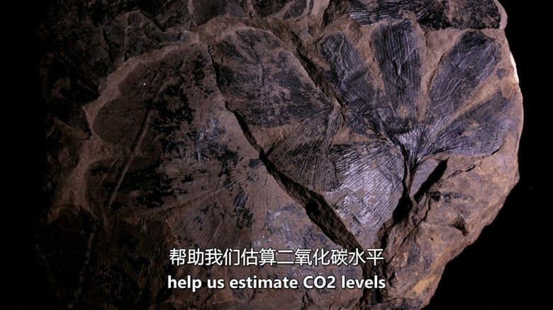 PBS纪录片《极地极限 Polar Extremes 2020》英语中英双字 无水印纯净版 1080P/MKV/6.7G 地球气候变迁插图5