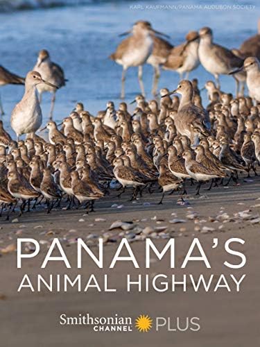 史密森尼频道《巴拿马的动物公路 Panama’s Animal Highway 2017》英语中英双字 无水印纯净版 1080P/MKV/3.62G 动物迁徙保护插图 史密森尼频道《巴拿马的动物公路 Panama’s Animal Highway 2017》英语中英双字 无水印纯净版 1080P/MKV/3.62G 动物迁徙保护插图