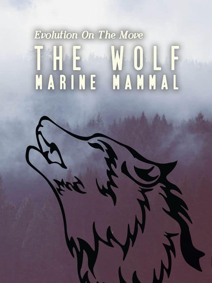 美国纪录片《狼:海洋哺乳动物 The Wolf:Marine Mammal 2015》英语中英双字 无水印纯净版 1080P/MKV/3.04G 进化中的狼插图 美国纪录片《狼:海洋哺乳动物 The Wolf:Marine Mammal 2015》英语中英双字 无水印纯净版 1080P/MKV/3.04G 进化中的狼插图
