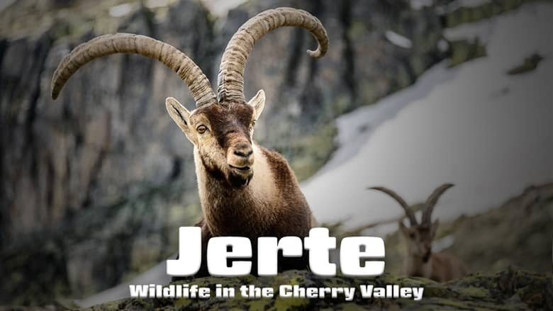 西班牙纪录片《耶尔特 樱桃谷的野生动物 Jerte, Wildlife in the Cherry Valley 2017》英语中英双字 无水印纯净版 1080P/MKV/4.49G 西班牙樱桃谷插图 西班牙纪录片《耶尔特 樱桃谷的野生动物 Jerte, Wildlife in the Cherry Valley 2017》英语中英双字 无水印纯净版 1080P/MKV/4.49G 西班牙樱桃谷插图