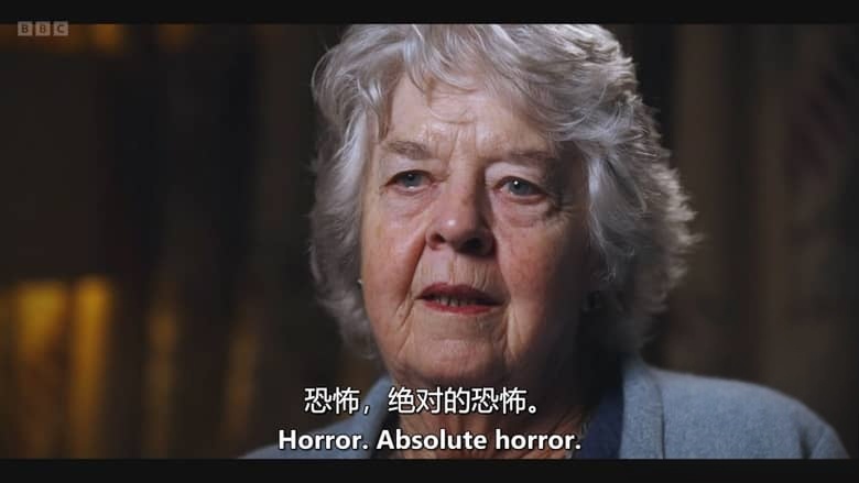 BBC纪录片《黑色海域：海上皇后号漏油灾难 Black Waters: The Sea Empress Disaster 2026》英语中英双字 无水印纯净版 1080P/MKV/1.03G 海皇后号沉船事故插图7