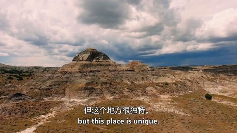 PBS纪录片《哺乳动物的崛起 Rise of the Mammals 2019》英语中英双字 无水印纯净版 1080P/MKV/2.53G 哺乳动物插图3 PBS纪录片《哺乳动物的崛起 Rise of the Mammals 2019》英语中英双字 无水印纯净版 1080P/MKV/2.53G 哺乳动物插图3