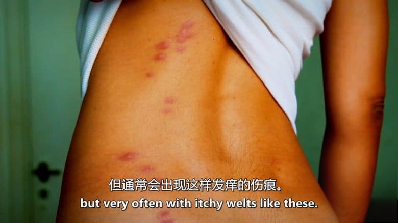 美国纪录片《侵扰:与入侵物种作斗争 Infestation:The Fight Against Invasive Species 2013》全4集 英语中英双字 无水印纯净版 1080P/MKV/12.7G 入侵物种插图3 美国纪录片《侵扰:与入侵物种作斗争 Infestation:The Fight Against Invasive Species 2013》全4集 英语中英双字 无水印纯净版 1080P/MKV/12.7G 入侵物种插图3
