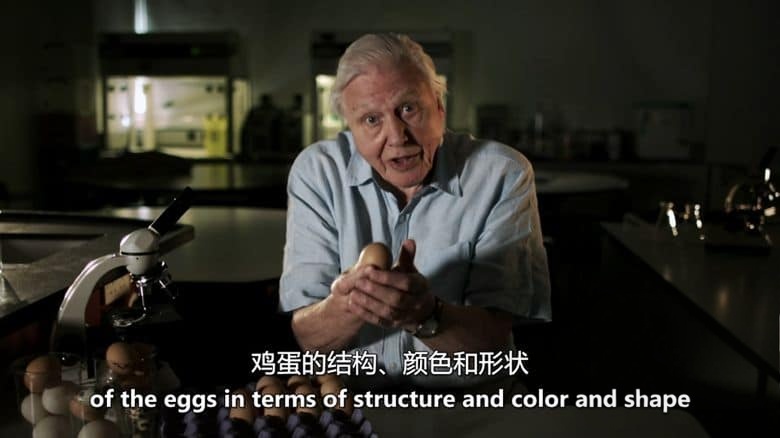 PBS纪录片《蛋：大自然的完美发明 The Egg: Life’s Perfect Invention 2019》英语中英双字 无水印纯净版 1080P/MKV/2.3G 卵生揭秘插图1