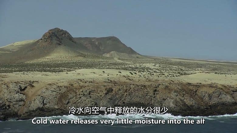 美国纪录片《非洲原始海洋 Africas Primeval Oceans 2012》英语中英双字 无水印纯净版 1080P/MKV/3.86G 非洲海洋插图3 美国纪录片《非洲原始海洋 Africas Primeval Oceans 2012》英语中英双字 无水印纯净版 1080P/MKV/3.86G 非洲海洋插图3