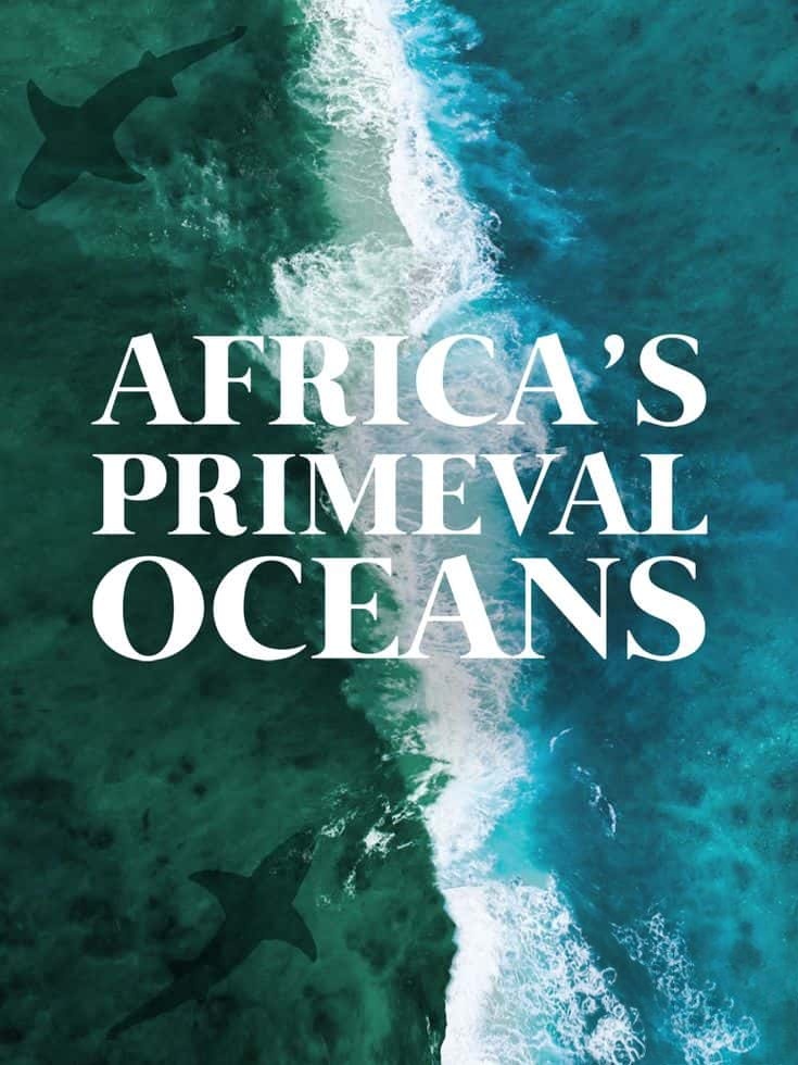 美国纪录片《非洲原始海洋 Africas Primeval Oceans 2012》英语中英双字 无水印纯净版 1080P/MKV/3.86G 非洲海洋插图 美国纪录片《非洲原始海洋 Africas Primeval Oceans 2012》英语中英双字 无水印纯净版 1080P/MKV/3.86G 非洲海洋插图
