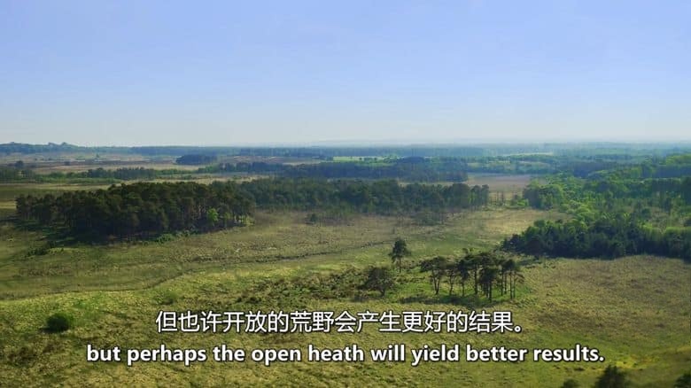 史密森尼频道《皇室的古老森林 The Crown’s Ancient Forest 2021》英语中英双字 无水印纯净版 1080P/MKV/3.04G 生态多样性插图2 史密森尼频道《皇室的古老森林 The Crown’s Ancient Forest 2021》英语中英双字 无水印纯净版 1080P/MKV/3.04G 生态多样性插图2
