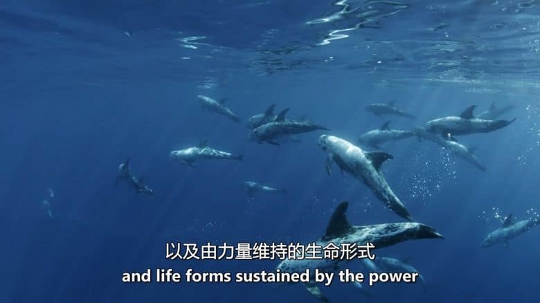 爱尔兰纪录片《北大西洋:黑暗的海洋 North Atlantic: The Dark Ocean 2023》全3集 英语中英双字 无水印纯净版 1080P/MKV/11.3G 北大西洋插图7 爱尔兰纪录片《北大西洋:黑暗的海洋 North Atlantic: The Dark Ocean 2023》全3集 英语中英双字 无水印纯净版 1080P/MKV/11.3G 北大西洋插图7